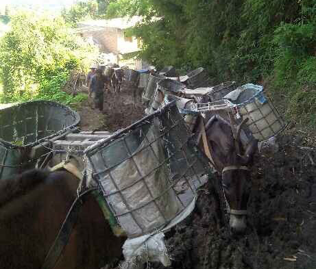 龙湖区马帮搬运