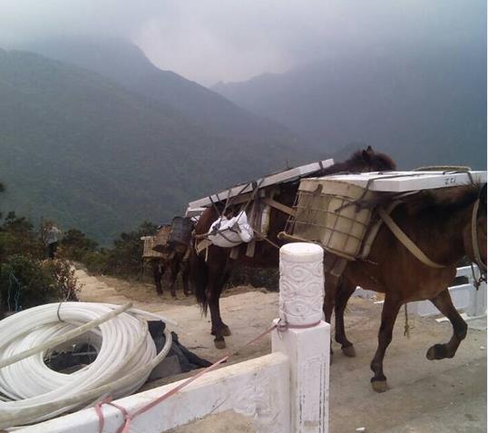 龙湖区山区马帮运输
