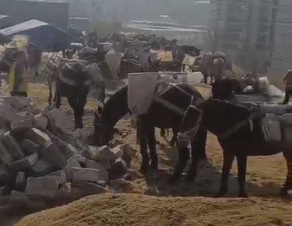 龙湖区马队山路运输