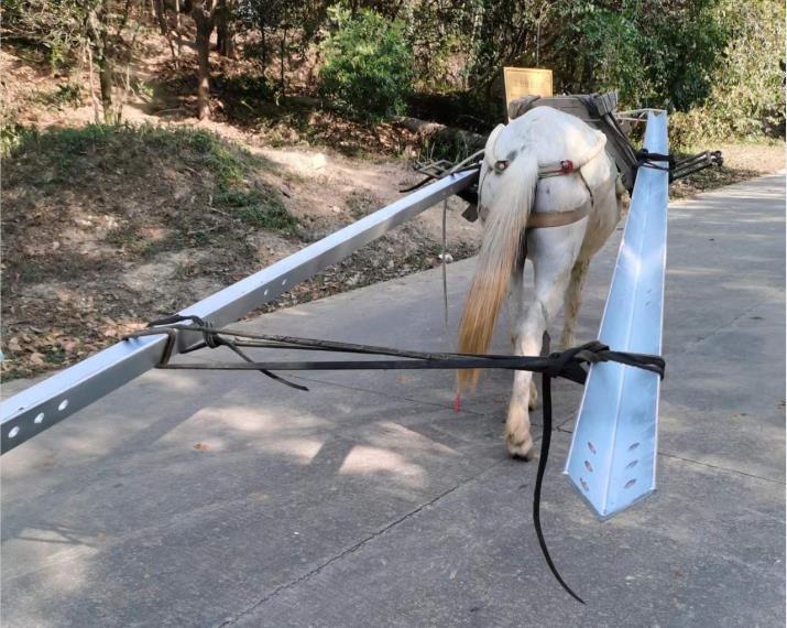 龙湖区马队搬运