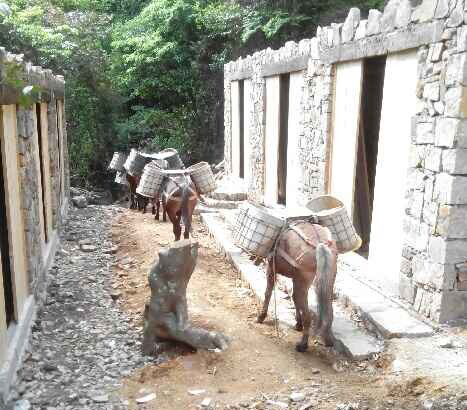 龙湖区马队运输队