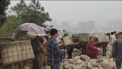 龙湖区骡马山区运输