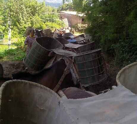 龙湖区骡马运输队